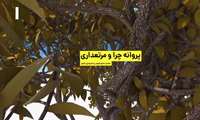 موشن گرافی چرا طرح مرتعداری تهیه کنیم